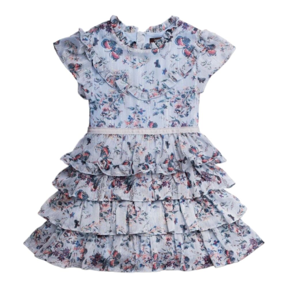 Imoga Serenity Girls Prairie Blue Floral Butterfly Layered Ruffle Sz 14 Dress